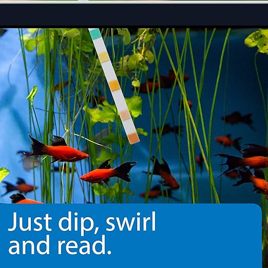 API 5-IN-1 TEST STRIPS Freshwater and Saltwater Aquarium Test Strips 100-Count - Image 3