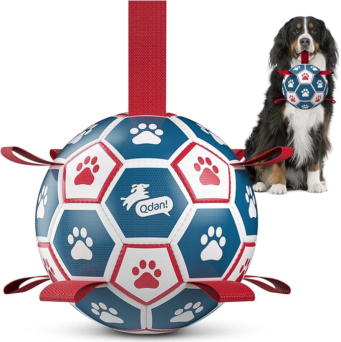 QDAN Extra Large Soccer Ball by QDAN