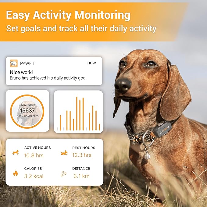Pawfit Lite for Small Dogs 4g GPS Tracker | Real Time Tracking | Activity - Image 4