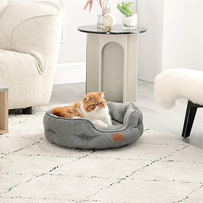 Bedsure Dog Beds for Small Dogs - Image 7