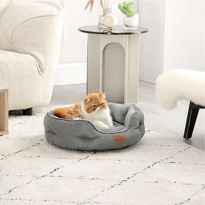 Bedsure Dog Beds for Small Dogs - Image 7