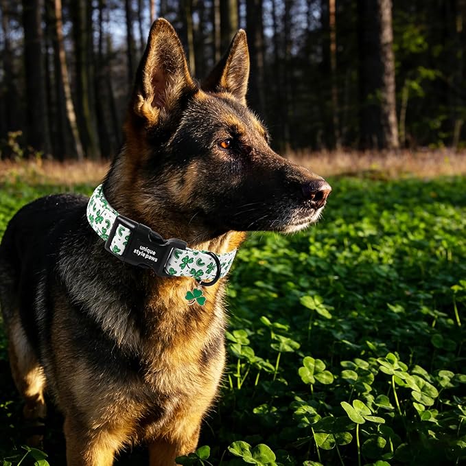 Unique style paws Dog Collar Plastic Buckle - Image 4
