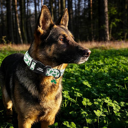 Unique style paws Dog Collar Plastic Buckle - Image 4