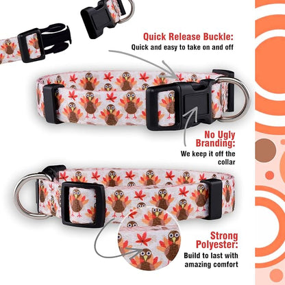 Native Pup Thanksgiving Dog Collar- Fall Collars - Image 4
