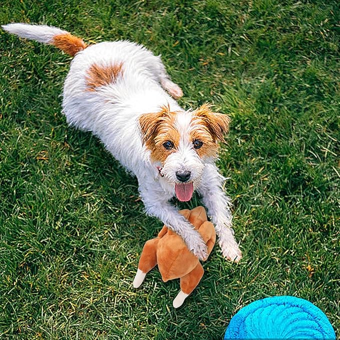 Puppy Chew Toys, Cute Durable Fabric Interactive Small Dog Toy, Indestructible - Image 6