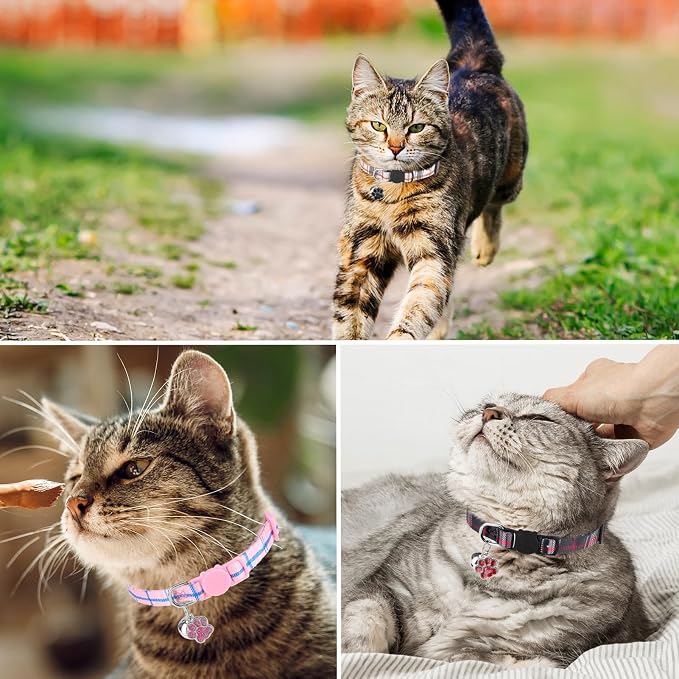 SCENEREAL Breakaway Cat Collar - Image 6