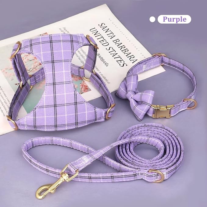 Beirui Cute Extra Small Dog Harness Collar and Leash Set - Image 2
