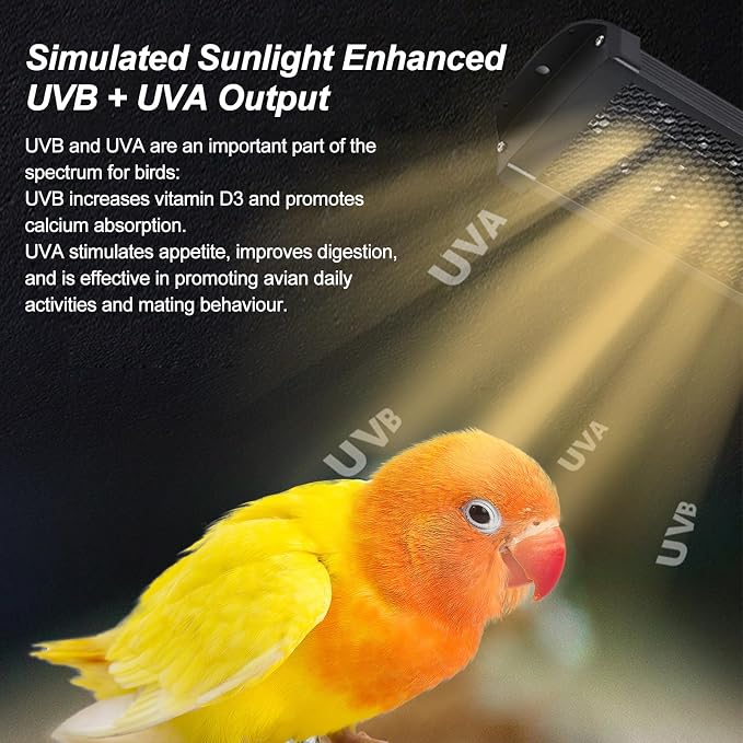 Bird Light for Cage, Full Spectrum LED Birdcage Lighting, Bird Lamp - Image 2