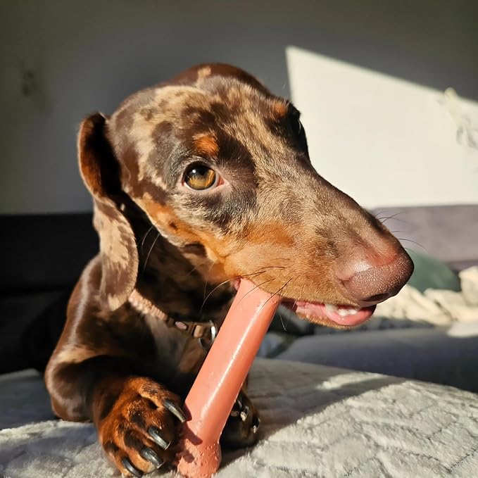 Nylabone Original Bone Power Chew Toy - Image 2