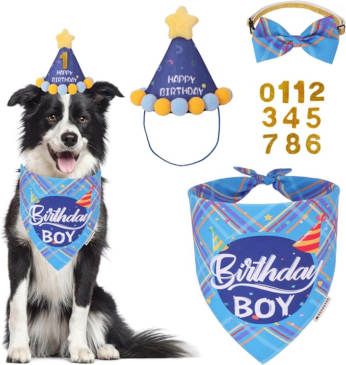 ADOGGYGO Dog Birthday Party Supplies, Party Hat by ADOGGYGO