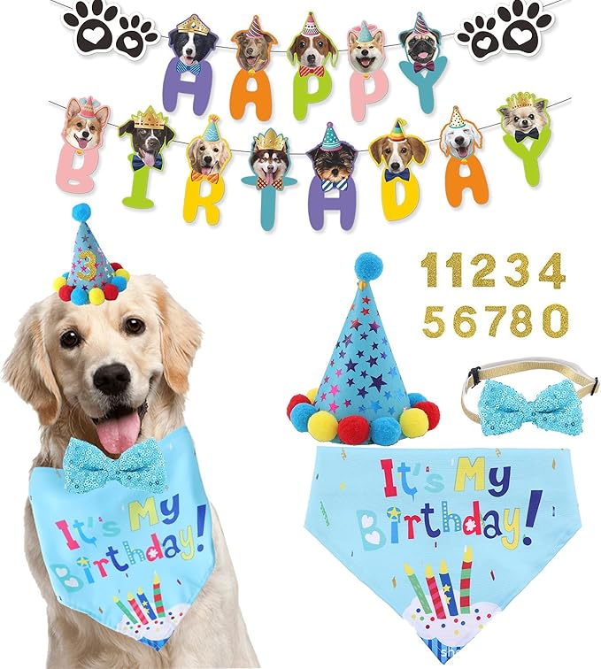 Dog Birthday Decorations, Puppy Birthday Party Outfits, Birthday Hat, Bow Tie by Agirlvct