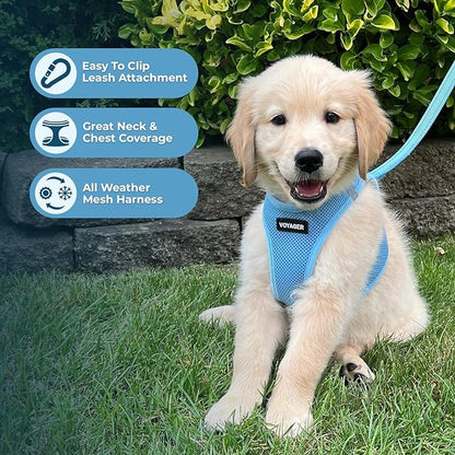 Best Pet Supplies Voyager Step-in Air Harness - Image 3