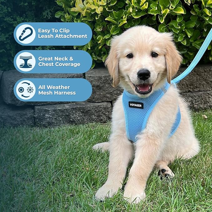 Best Pet Supplies Voyager Step-in Air Harness - Image 3