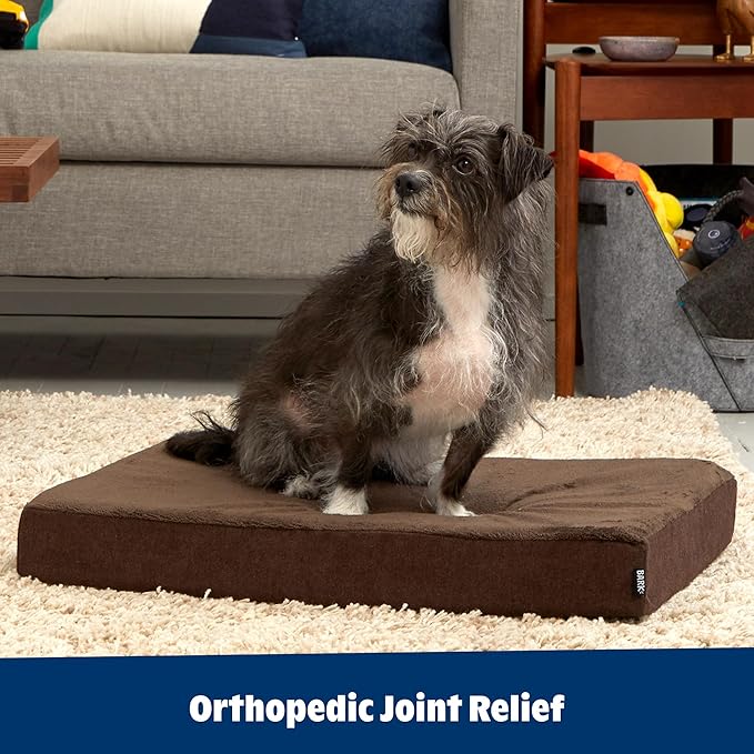 Barkbox Orthopedic Dog Bed - Image 6
