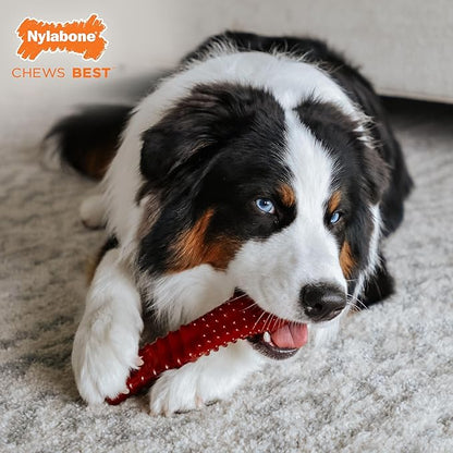 Nylabone Textured Bone Power Chew Toy - Image 2
