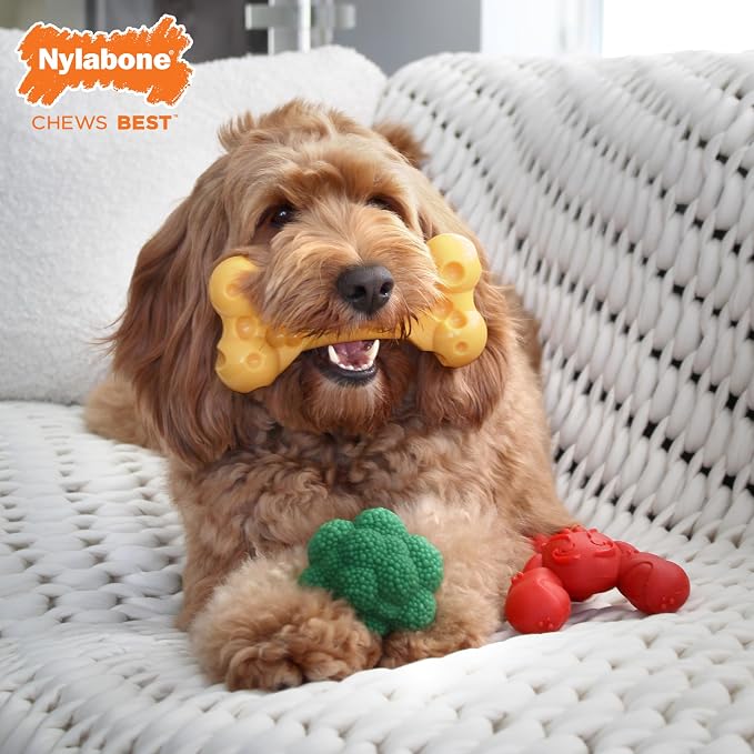 Nylabone Power Chew Toy Bundle, Cute Dog Toys - Image 2