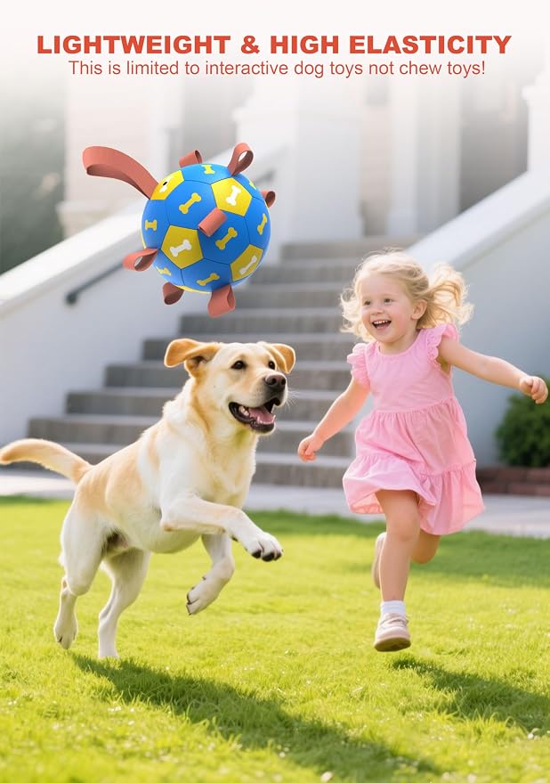Amasiver Dog Soccer Ball Toys - Image 6