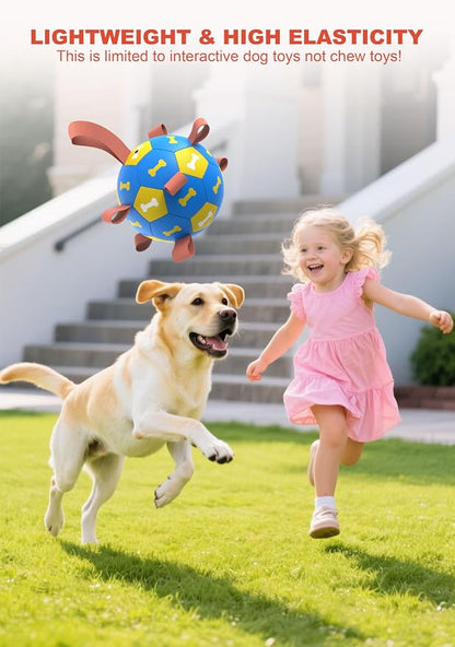 Amasiver Dog Soccer Ball Toys - Image 6