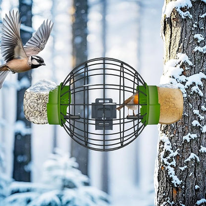 LONA Squirrel Proof Bird Feeding Cage - Image 4