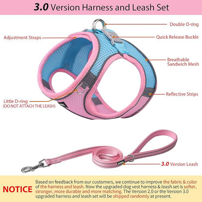 AIITLE Step in Dog Harness and Leash Set - Image 4