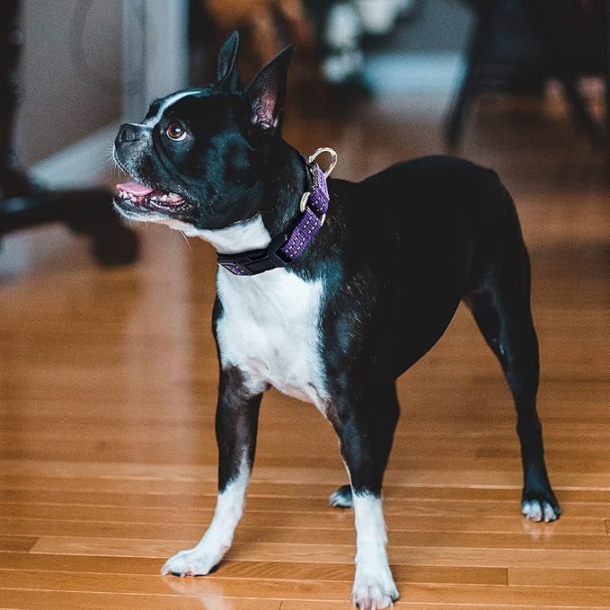 Hikiko Martingale Collar for Dogs Reflective Nylon Dog Collar - Image 3