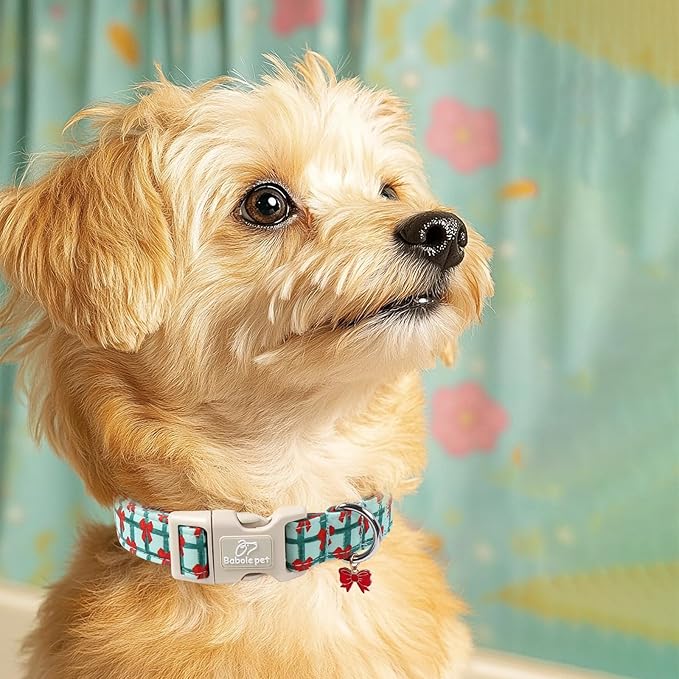Christmas Dog Collar for Medium Dogs - Image 7