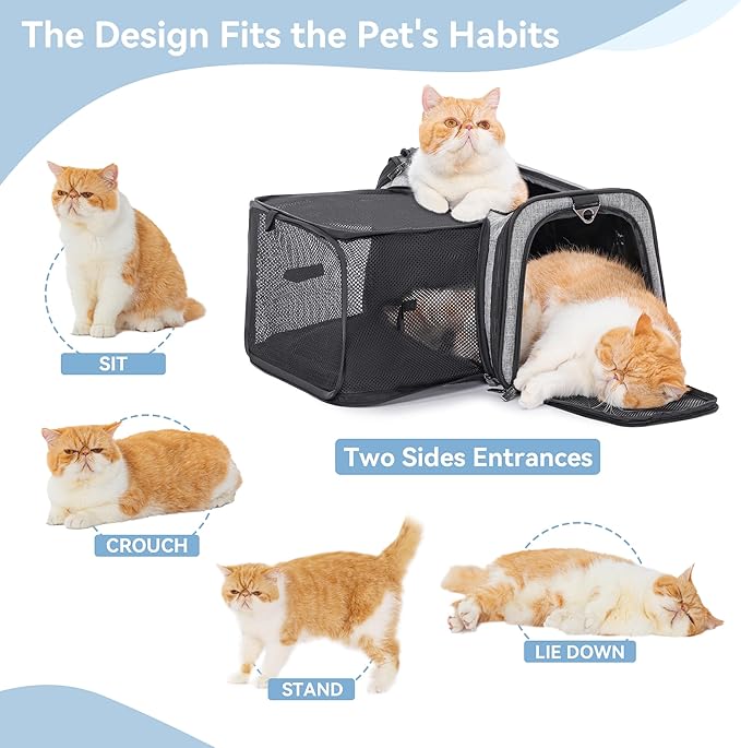 Petsfit 19"X12" X12" Expandable Pet Carrier, Square Expansion Reduces Pet - Image 7