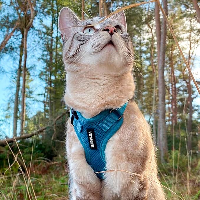 Voyager Escape-Proof Step-in Lock Cat Harness & 5ft Neoprene-Handle Leash Set - Image 6