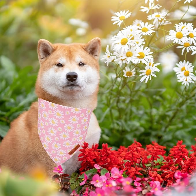 ADOGGYGO Floral Dog Bandana 2 Pack, Reversible Pink Daisy Pet Scarf Bib - Image 3