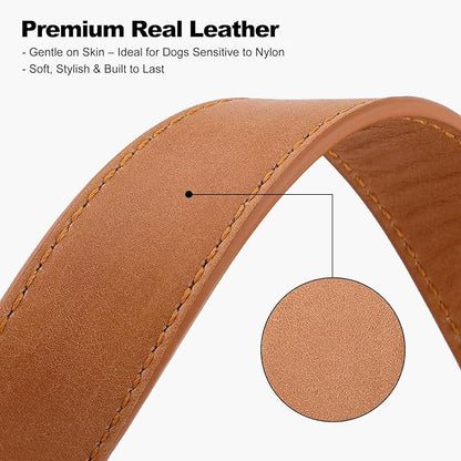 Plutus Pet Genuine Leather Dog Collar – Adjustable Pet Collar - Image 4