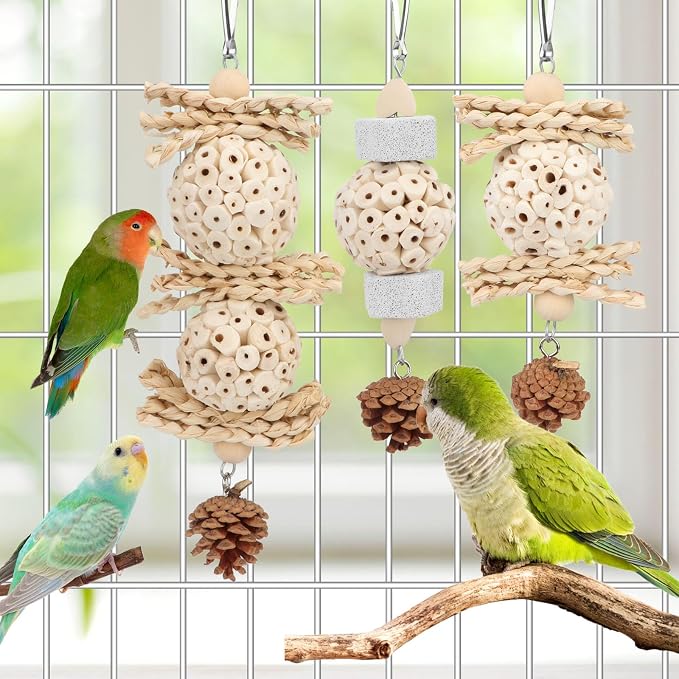 Wontee Bird Toys 3 Pack Parrot Foraging Hanging Toys Sola Ball Natural Nuts - Image 2
