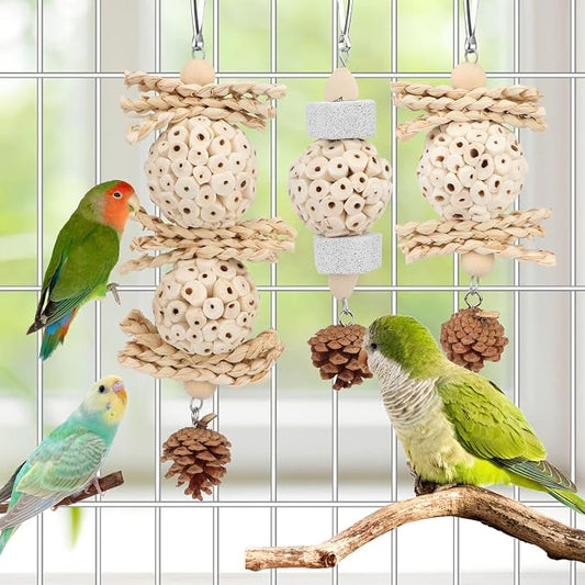 Wontee Bird Toys 3 Pack Parrot Foraging Hanging Toys Sola Ball Natural Nuts - Image 2
