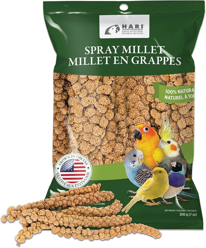 Living World – Millet Spray for Birds, 7 Oz – Premium Treat for Budgies - Image 2