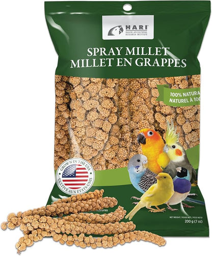 Living World – Millet Spray for Birds, 7 Oz – Premium Treat for Budgies - Image 2