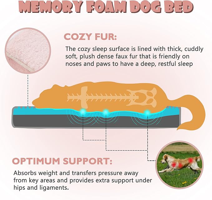 Memory Foam Orthopedic Large Dog Bed, Washable Dog Bed - Image 2
