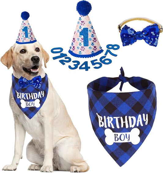 ADOGGYGO Dog Birthday Party Supplies, Pet Party Hat by ADOGGYGO