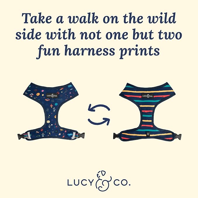 Lucy & Co. Space Doodle, Cute Reversible Dog Harness Walking Halter - Image 3