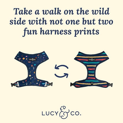 Lucy & Co. Space Doodle, Cute Reversible Dog Harness Walking Halter - Image 3