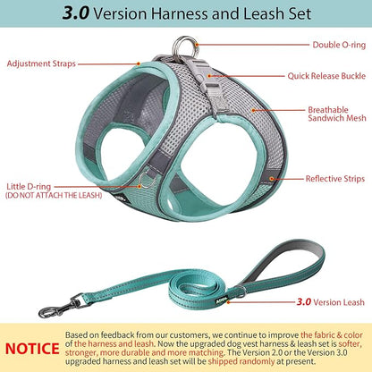 AIITLE No Pull Dog Harness and Leash Set, Step in Adjustable Dog Harness - Image 5