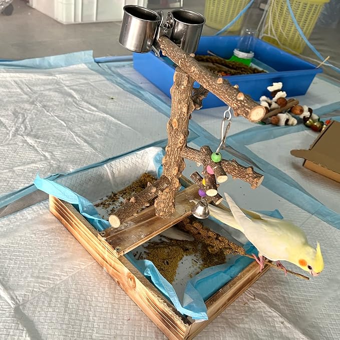 Natural Wood Bird Toys Playground, Bird Cage Accessories, Bird Perches - Image 7