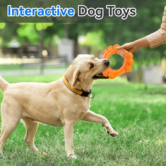 Indestructible Dog Chew Ring Toys - Image 7