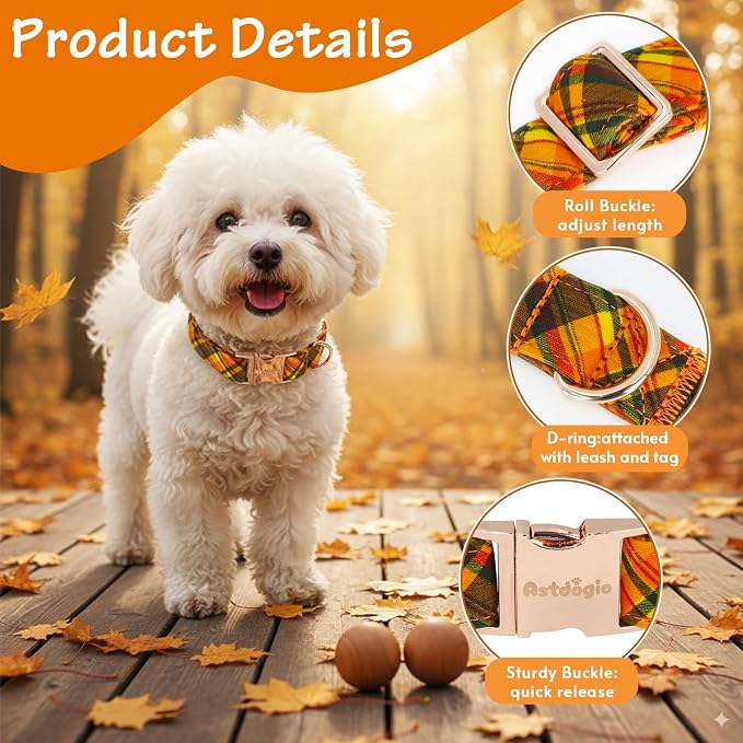Cotton Fall Dog Collar, Halloween Dog Collars - Image 4