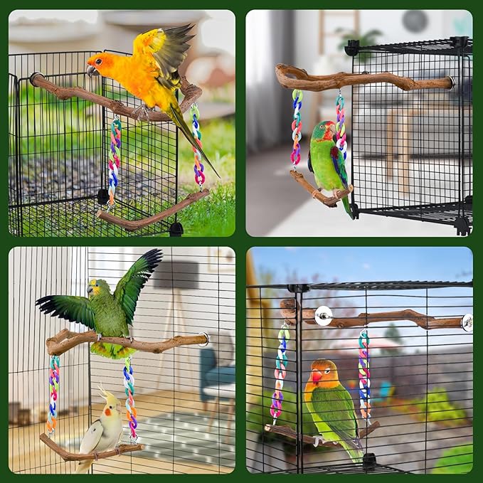 Bird Swing Toys, Standing Bird Perch - Image 2