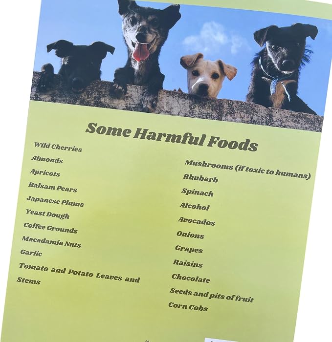 Groomers Margins Puppy Information Folders - Image 3