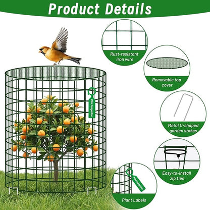 Convivium Plant Protectors from Animals 6 Packs, 13 x 12 in Metal Chicken Wire - Image 3