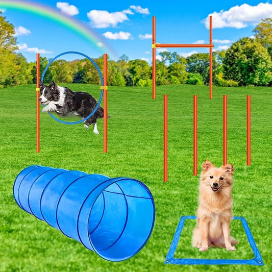 XiaZ Dog Agility Course Backyard Set, Dog Obstacle Course Training Starter Kit by XiaZPet