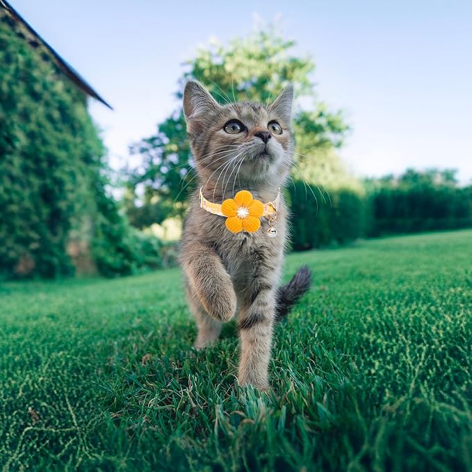 Cat Collar, HYQHYX Breakaway Kitten Collar - Image 8