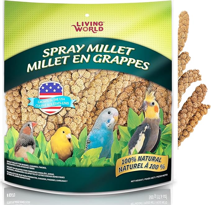 Living World – Millet Spray for Birds, 5 Pounds – Premium Treat for Budgies by LivingWorld