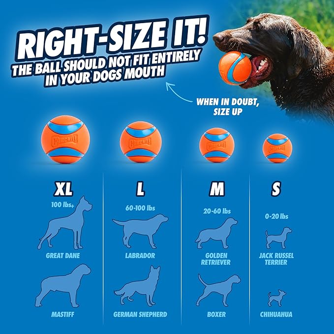 Chuckit! Dog Balls - Image 4