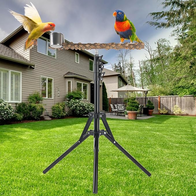 Adjustable Bird Perch Stand, 16-62 Inch Height Adjustable Bird Training Perch - Image 4